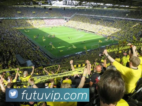 富途牛牛官网平台生态图