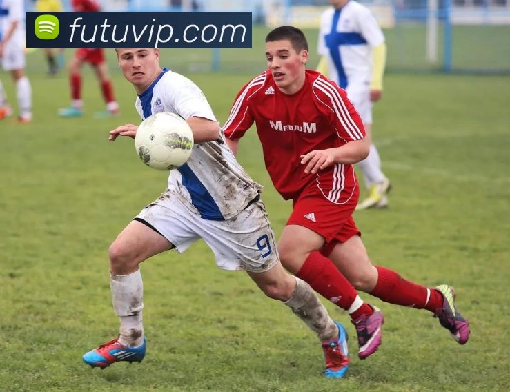 数据防护可视化